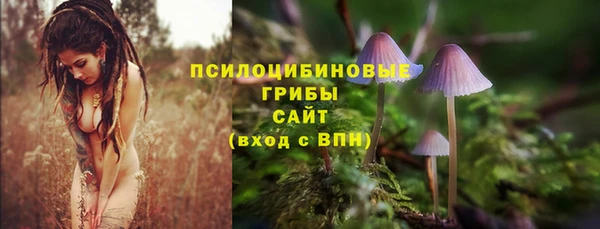 таблы Осташков