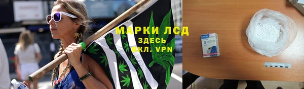 сатива Гусиноозёрск