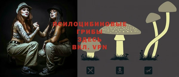 таблы Осташков