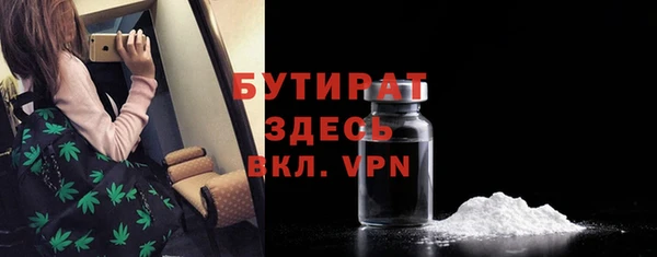 мдпв Гусев