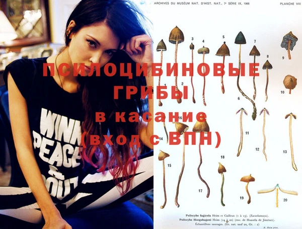 скорость Осинники