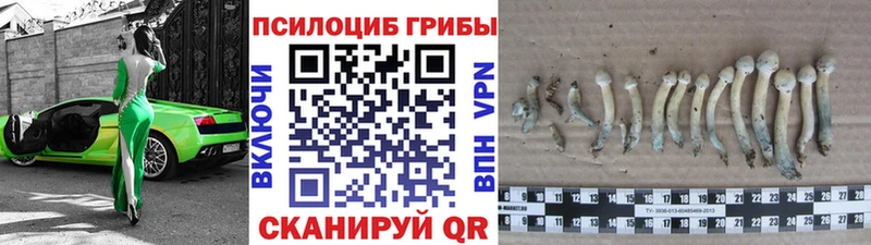 мега сайт  Сельцо  Псилоцибиновые грибы мухоморы 
